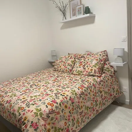 Apartmán - Le Gambetta -